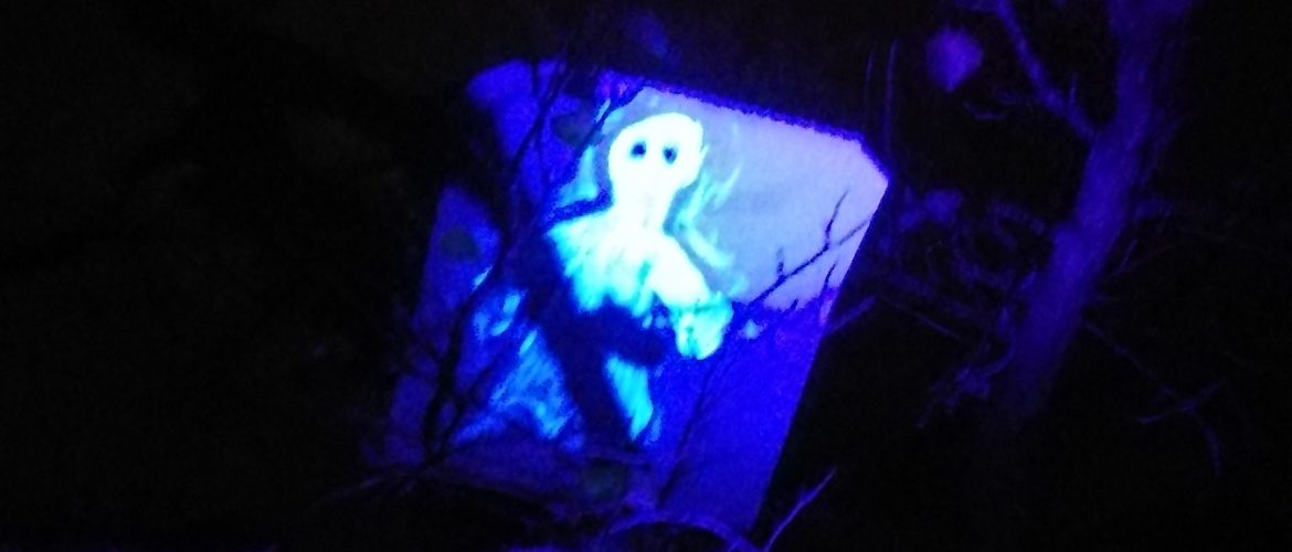 UV Bild bei Schwarzlicht im Baum